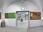 sala-nr-4