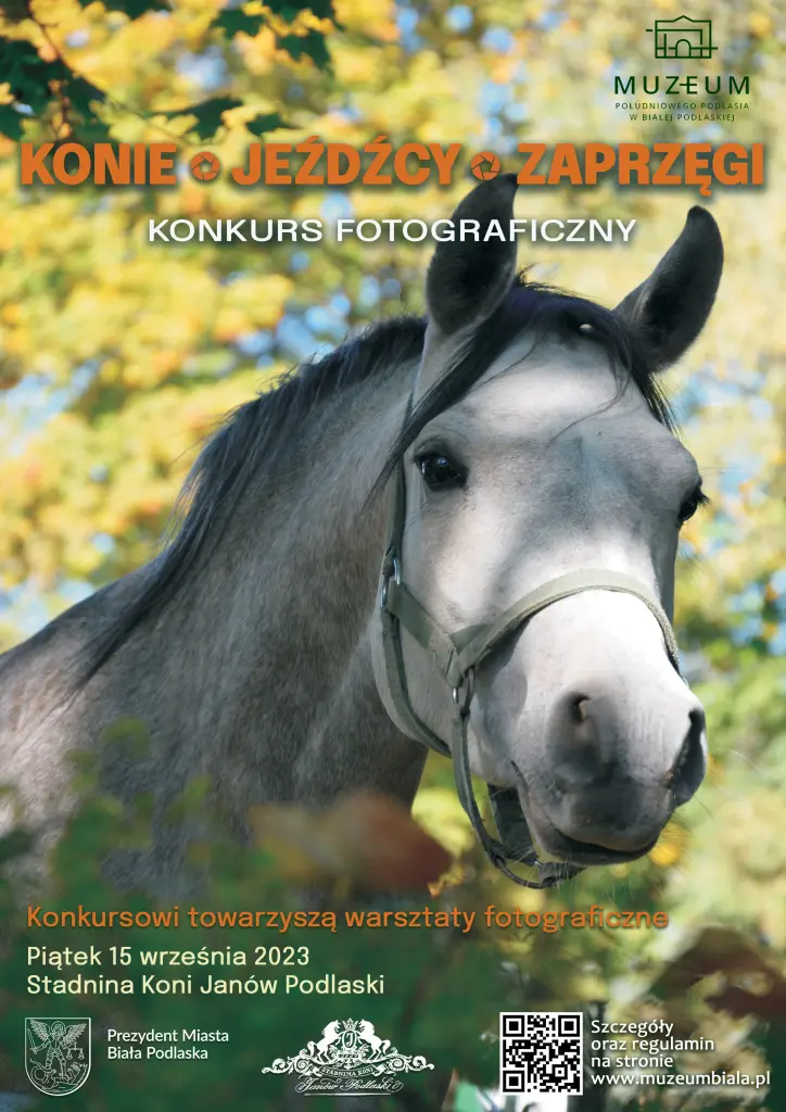 Konie, jeźdźcy, zaprzęgi Plakat do komkursu fotograficznego