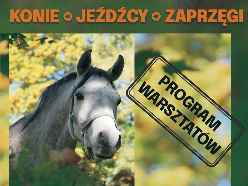 Plakat promujący warsztaty fotograficzne "Konie, jeżdźcy, zaprzęgi.