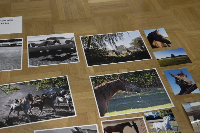 Fotografie rozłożone na podłodze drewnianej