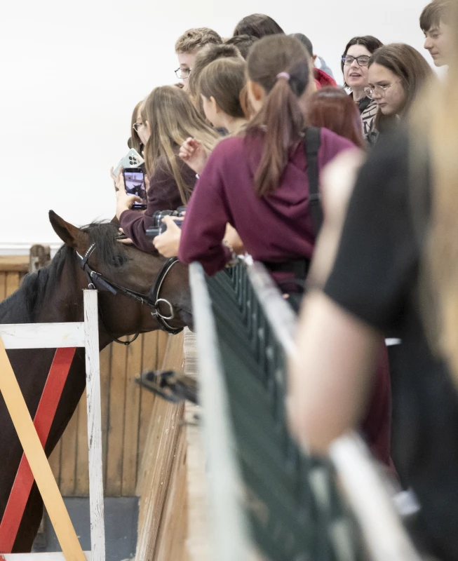 Uczestnicy warsztatów Konie