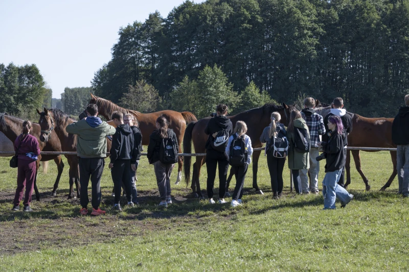 Uczestnicy warsztatów Konie