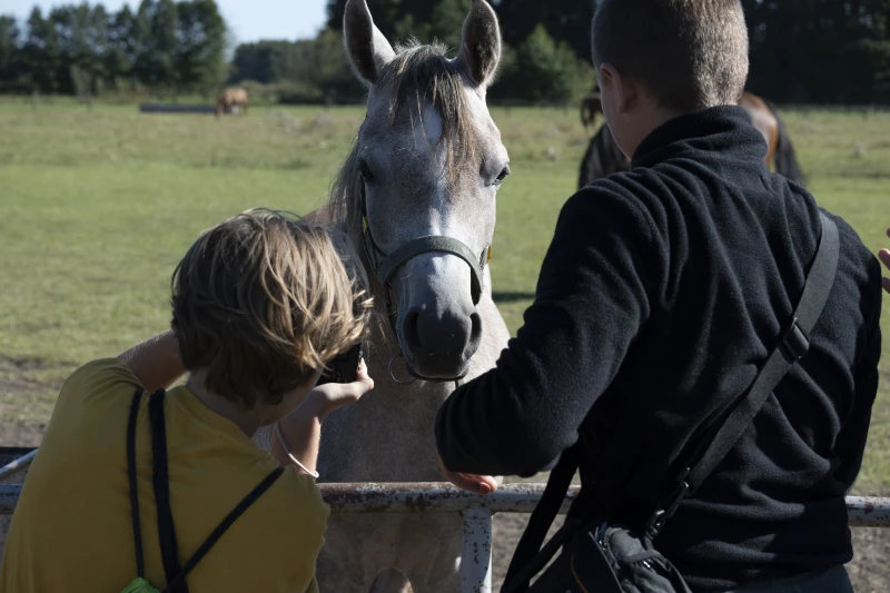 Uczestnicy warsztatów Konie