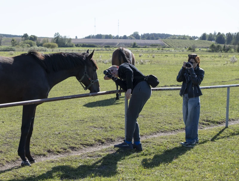 Uczestnicy warsztatów Konie