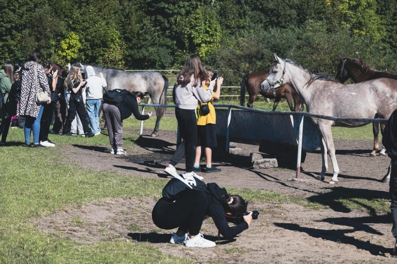 Uczestnicy warsztatów Konie