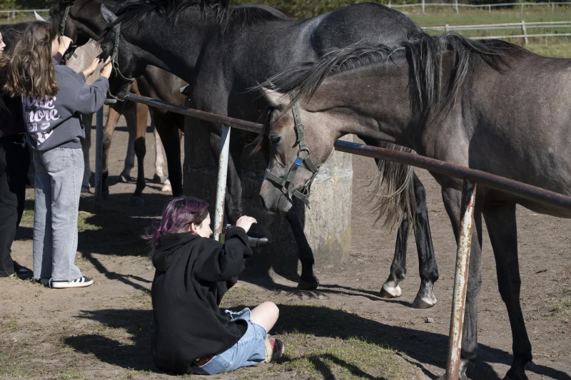 Uczestnicy warsztatów Konie