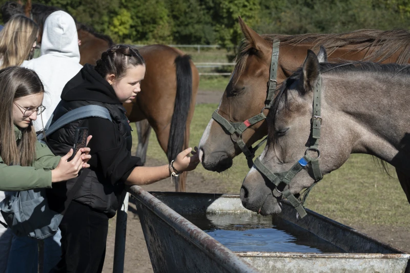 Uczestnicy warsztatów Konie przy wodopoju