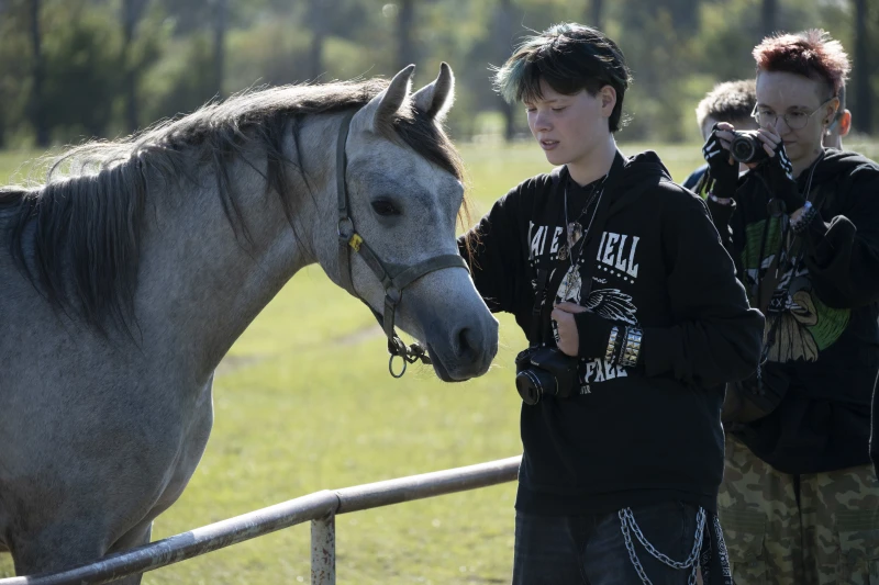 Uczestnik warsztatów. Koń.