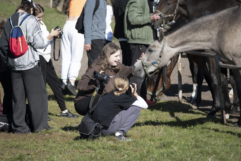 Uczestnicy warsztatów Konie