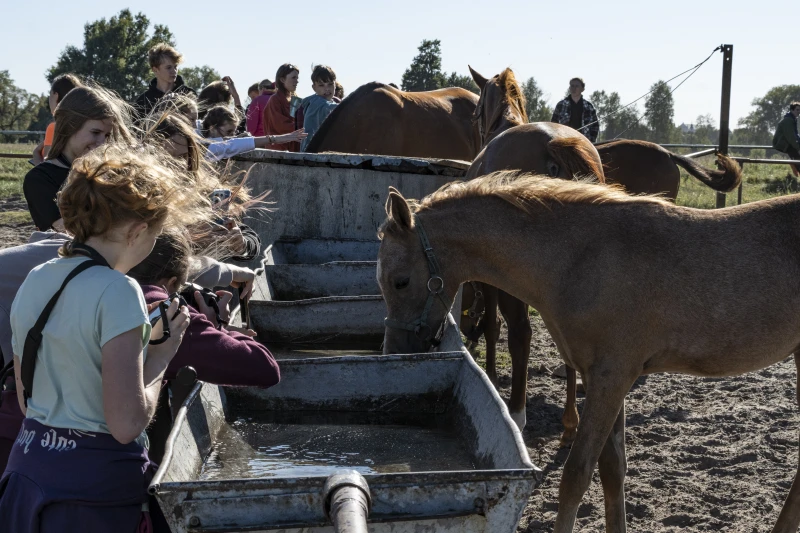 Uczestnicy warsztatów Konie