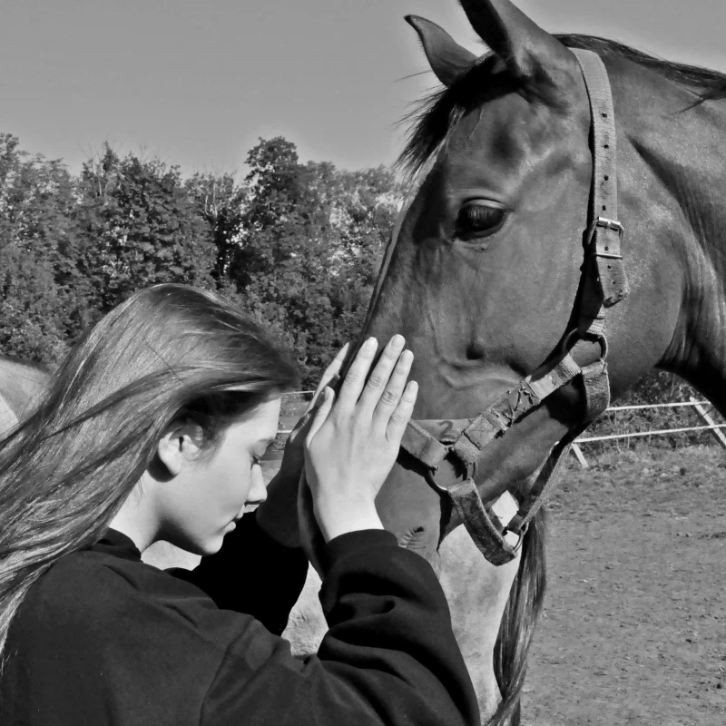 Czarnobiały kadr przedstawiający konia stojącego obok kobiety; zwierzę pochyla głowę a kobieta obejmuje dłońmi jego pysk