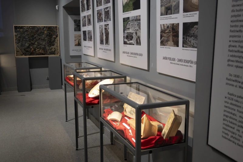 „Sala muzealna z gablotami prezentującymi zabytki archeologiczne oraz planszami edukacyjnymi na ścianach.”