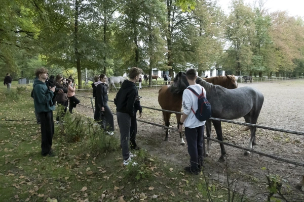 Grupa młodzieży obserwuje konie na wybiegu.