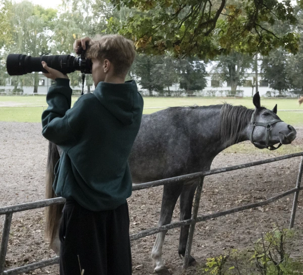 Osoba fotografuje konia stojącego za ogrodzeniem