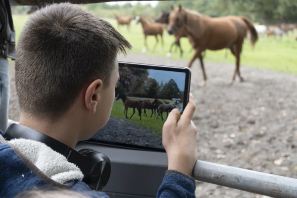 Chłopiec fotografuje konie tabletem.