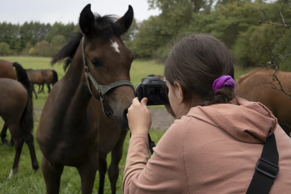 Dziewczyna fotografuje źrebaka na pastwisku.