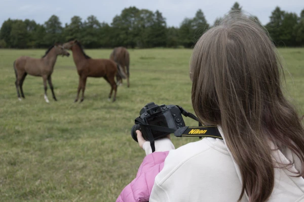 Dziewczyna fotografuje dwa źrebaki na łące.