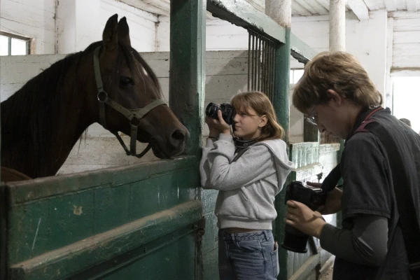Dwie osoby fotografują konia wyglądającego z boksu