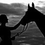 Rozstrzygniecie kolejnej edycji konkursu fotograficznego „Konie, jeźdźcy, zaprzęgi”.